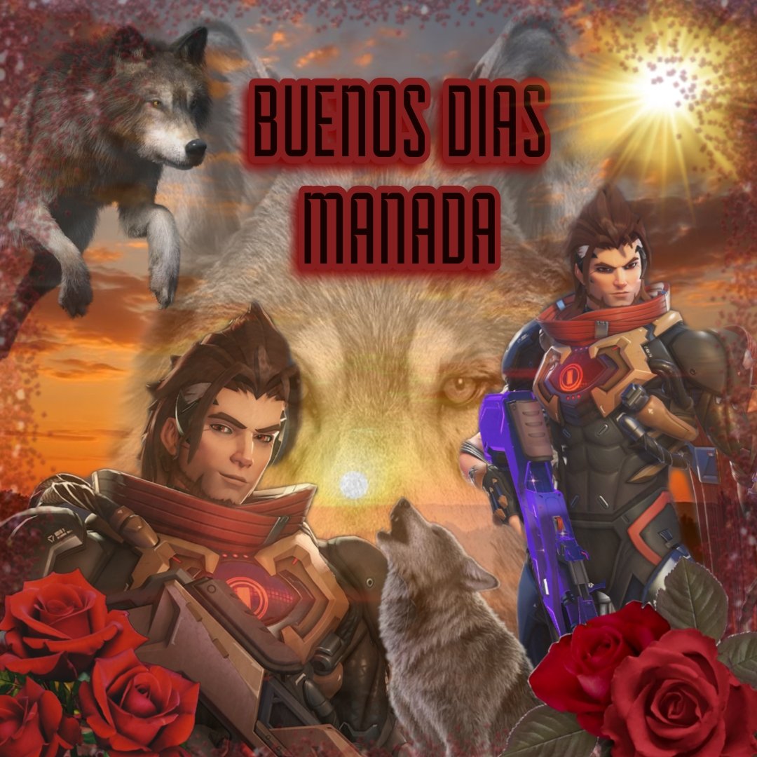 ▞▞▞▞▞▖🅼🅰🅽🅶🅾▝▞▞▞▞▞||ᴇᴍʀᴇ'ꜱ ᴠᴀʟᴇɴᴛɪɴᴇ'ꜱ ♡ (@mang0wang0_) on Twitter photo 