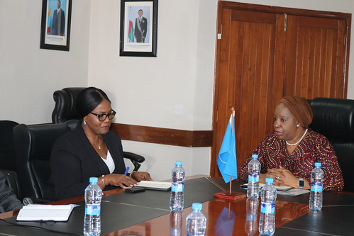 COMESA Secretariat tweet media