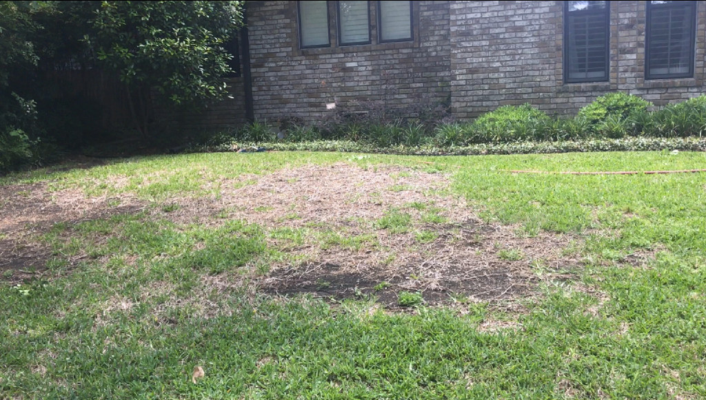 CustomTurfServ's tweet image. What would you fix about your lawn if you knew it would actually stay fixed? 💭 

The weeds returning every spring? 
The thin spots that never fill? 
The brown patches spreading every summer? 

For every lawn problem in DFW, there's a professional solution.

#LawnSolutions #DFW