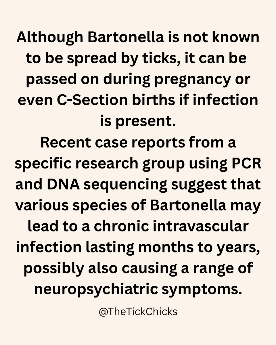 The Tick Chicks tweet media