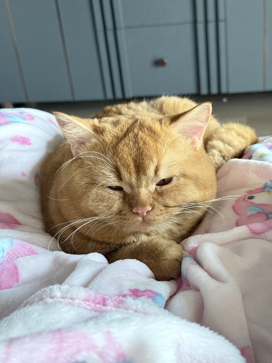 ขยับขาไม่ได้ไปครึ่งชั่วโมง