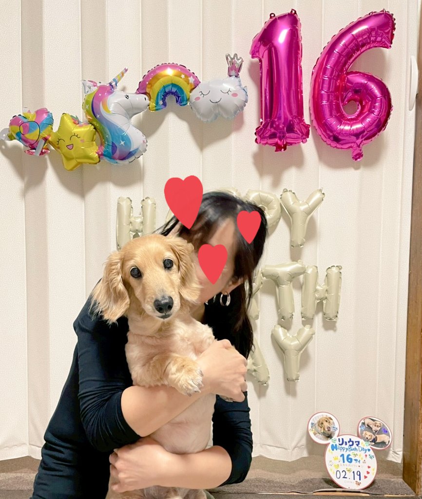 KK 半年経ってやっとプロフィールに🌈を… tweet media