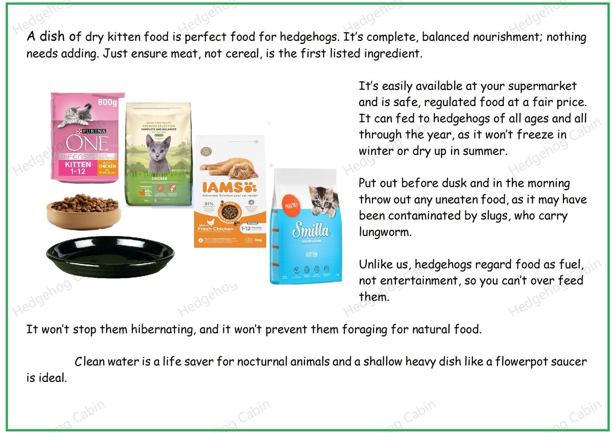 Hedgehog Cabin tweet media