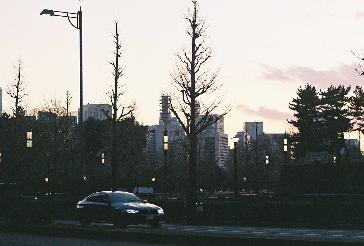 Pond@写真📷️ tweet media