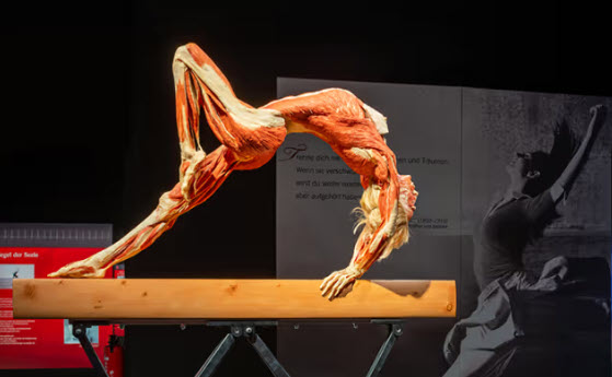 OnlyMelbourne.com.au tweet media