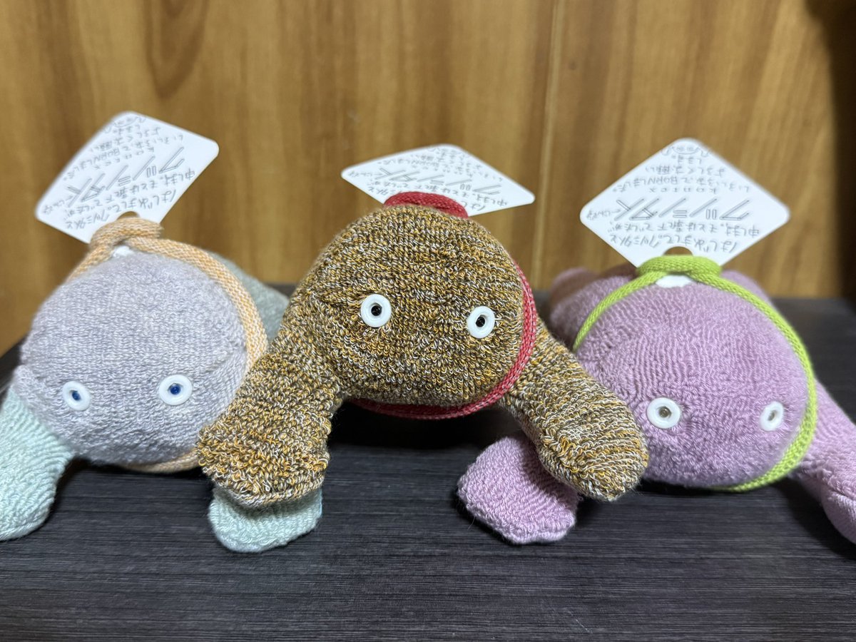 kmnrid_w's tweet photo. みんなたち、みんなたちのところにもクツシタ人ちゃんが届き始めていることはわかっています。見せてください。リプでも引リツでもなんでもいいので見せてくださいお願いします。隠さないで。クツシタ人たちはみんなで見せ合った方がいい。私の幸せのために見せてください… https://t.co/ENPvHVoNvi