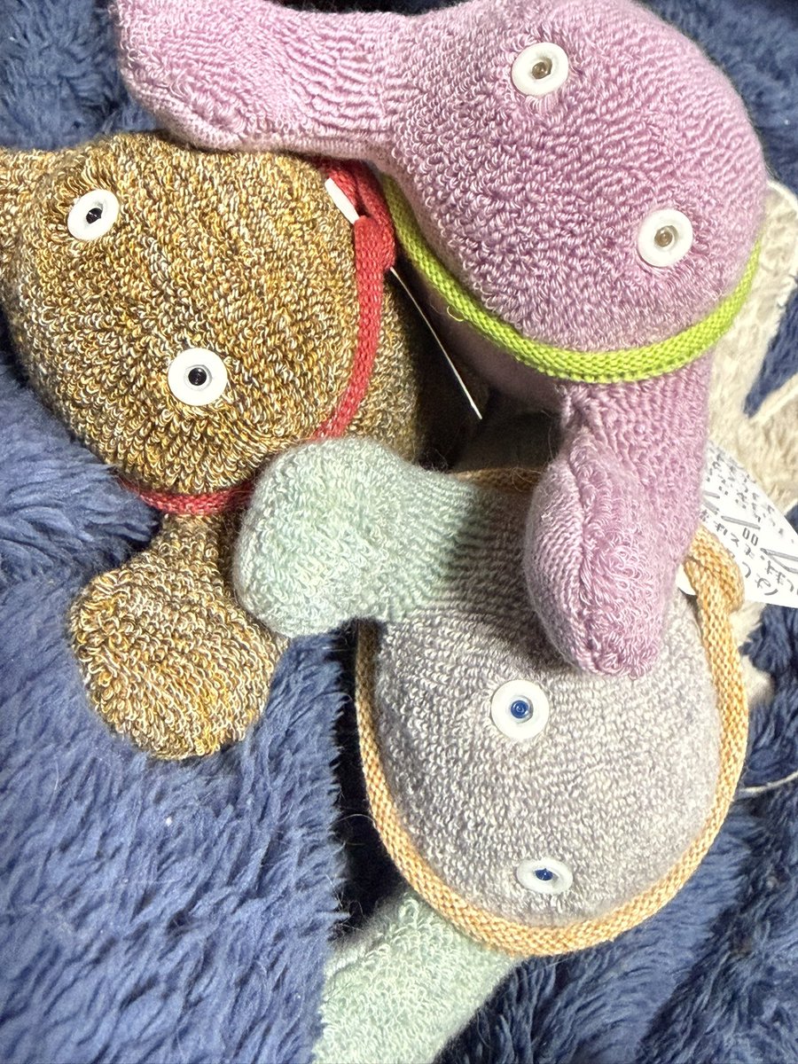 kmnrid_w's tweet photo. みんなたち、みんなたちのところにもクツシタ人ちゃんが届き始めていることはわかっています。見せてください。リプでも引リツでもなんでもいいので見せてくださいお願いします。隠さないで。クツシタ人たちはみんなで見せ合った方がいい。私の幸せのために見せてください… https://t.co/ENPvHVoNvi