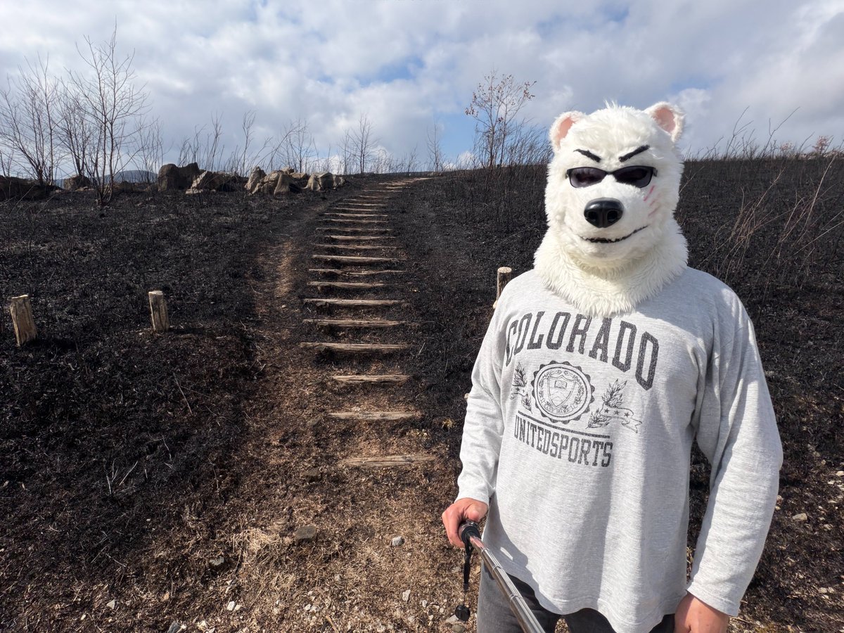 こうじ。 (@ModokiKouji) on X