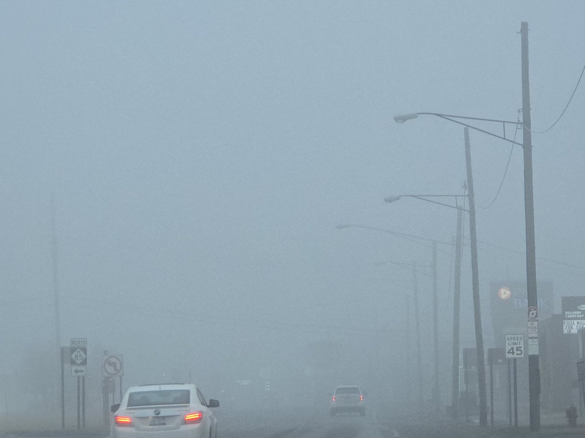 jesseRoss597206's tweet image. Day 5 of toxic fog in Michigan. They said it was from the toxic snow melt. Guess what? Snow finished melting 2 days ago and the fog is getting worse. Whatever this poison is they're making sure to get it in your system. Your pores soak it up like a sponge &amp;amp; still no protests.