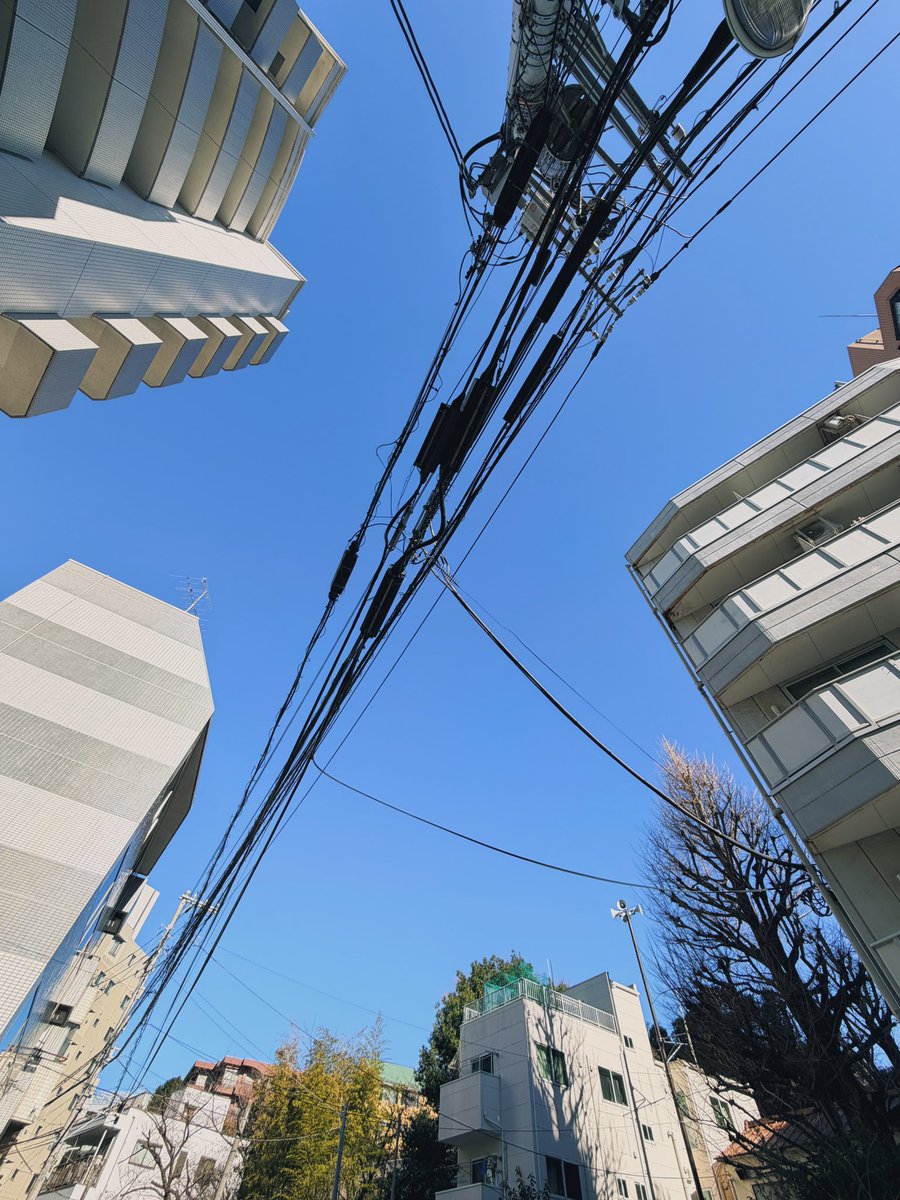 Street photography time 🏘️
No staging, no planning. Just life unfolding in real time.
Here’s mine captured in Meguro River Tokyo, let’s see yours!