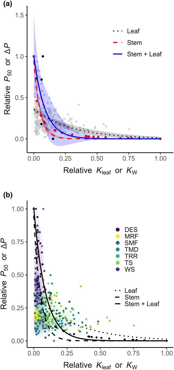 NewPhyt's tweet image. #Stems and #leaves of angiosperms follow a convex trade-off to optimise hydraulic safety and efficiency

A #Letter by Kreinert et al.
👇

📖 nph.onlinelibrary.wiley.com/doi/10.1111/np…

#LatestIssue
