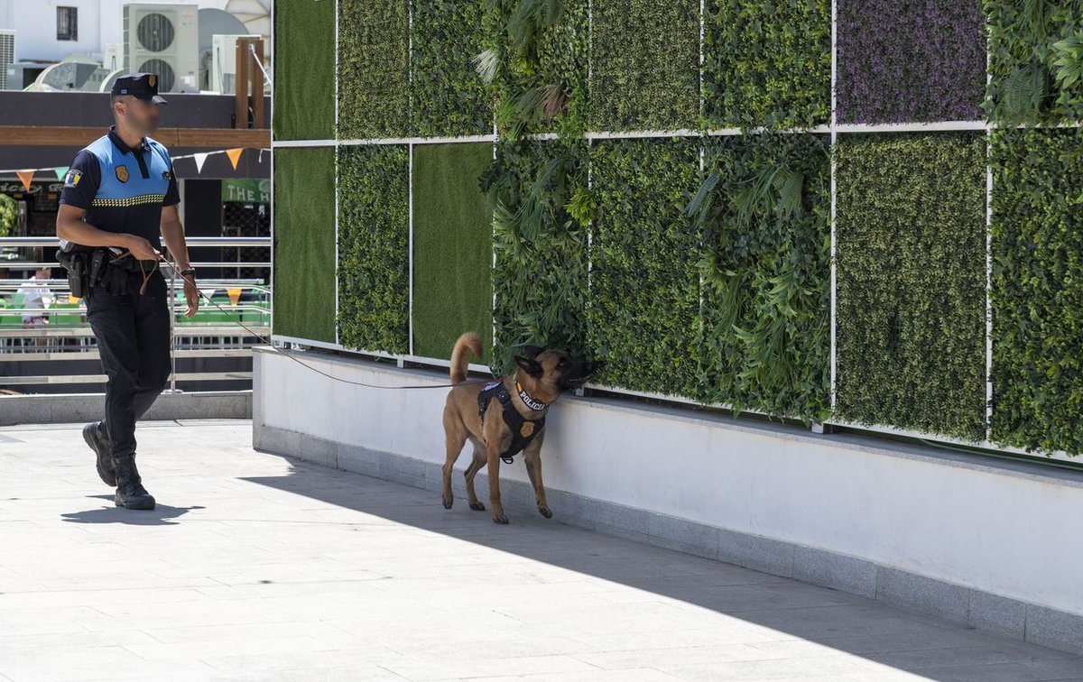 Policía Local de Mogán detiene con la Unidad Canina a un hombre con drogas en Arguineguín. <a href="/MunicipioMogan/">Ayuntamiento Mogán</a> #PoliciaLocal #UnidadCanina #Arguineguin n9.cl/8idc4