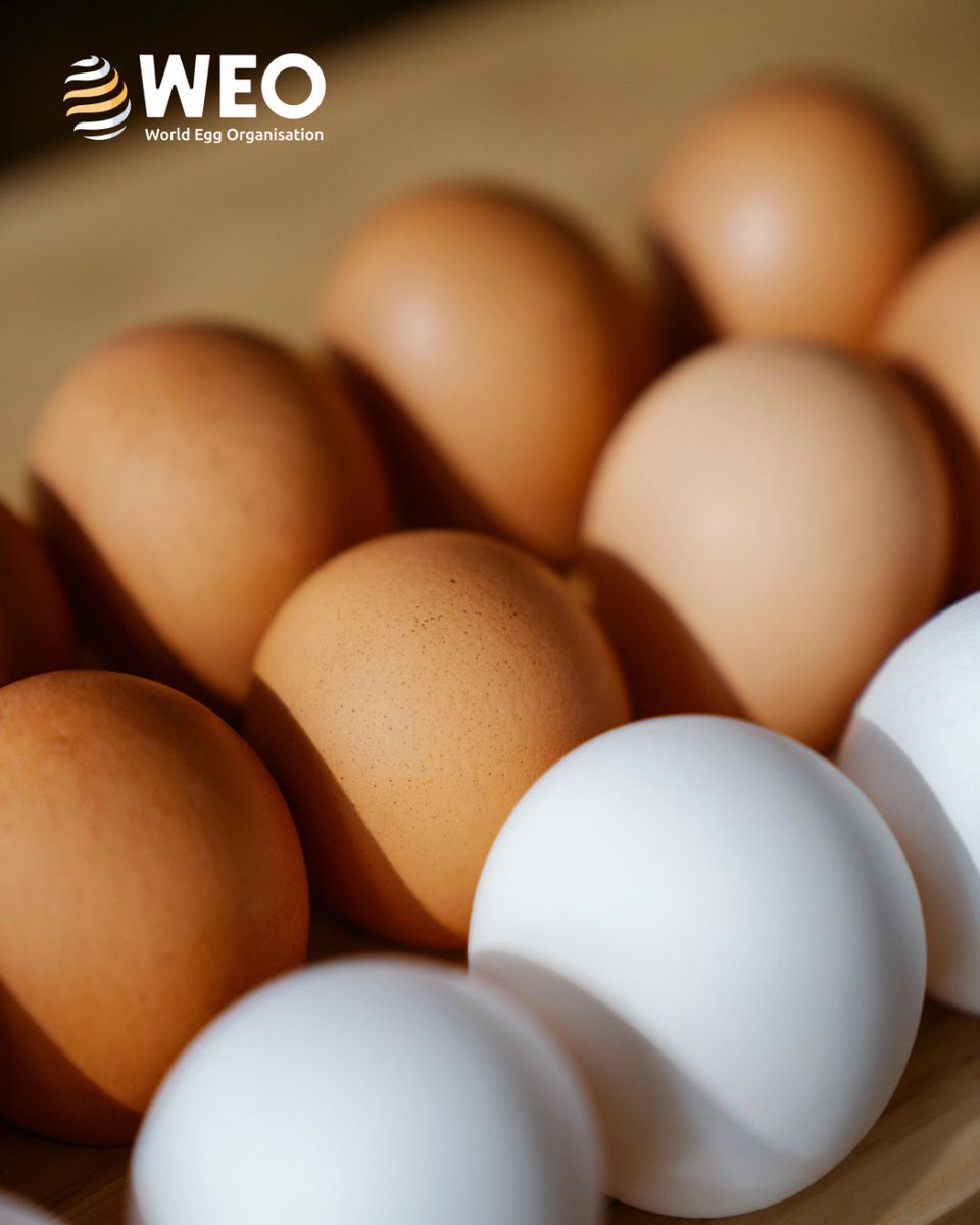 World Egg Organisation tweet media