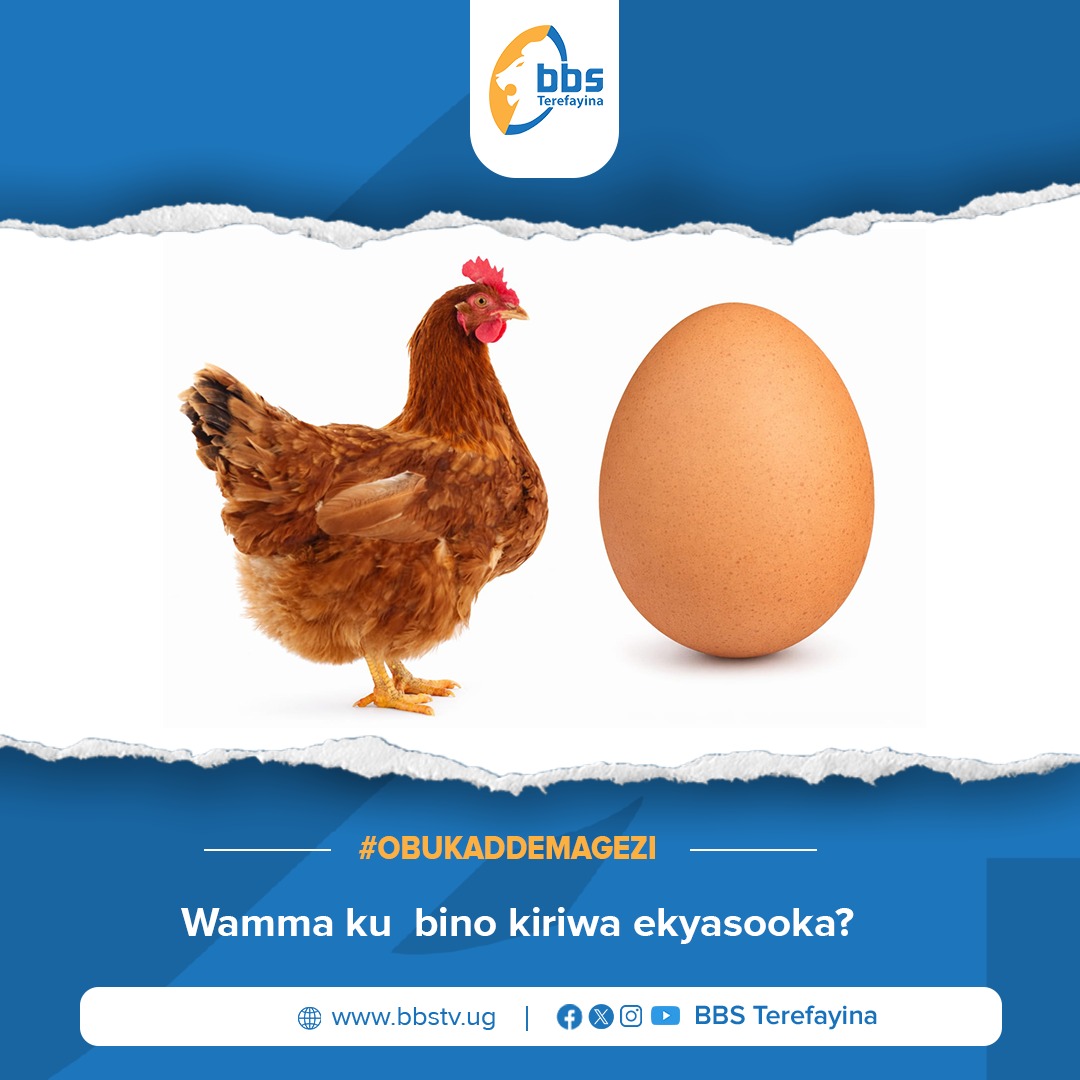 BBS TEREFAYINA tweet media