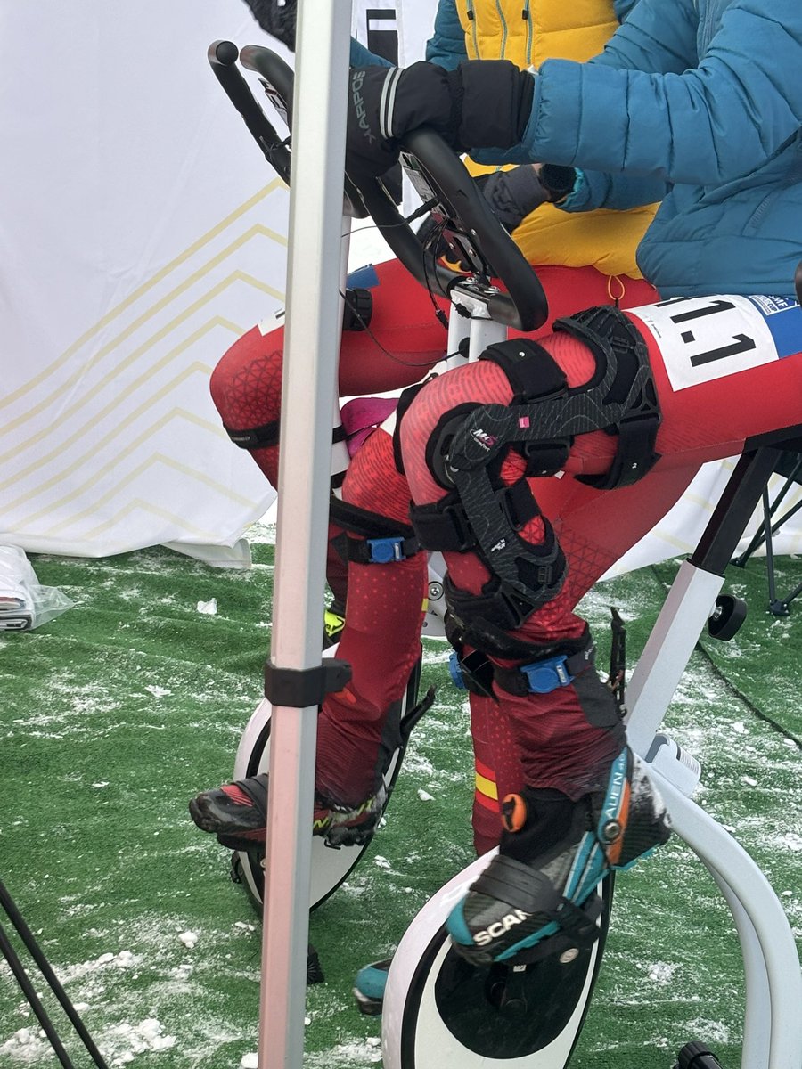 Xavier Casillanis Comas tweet media