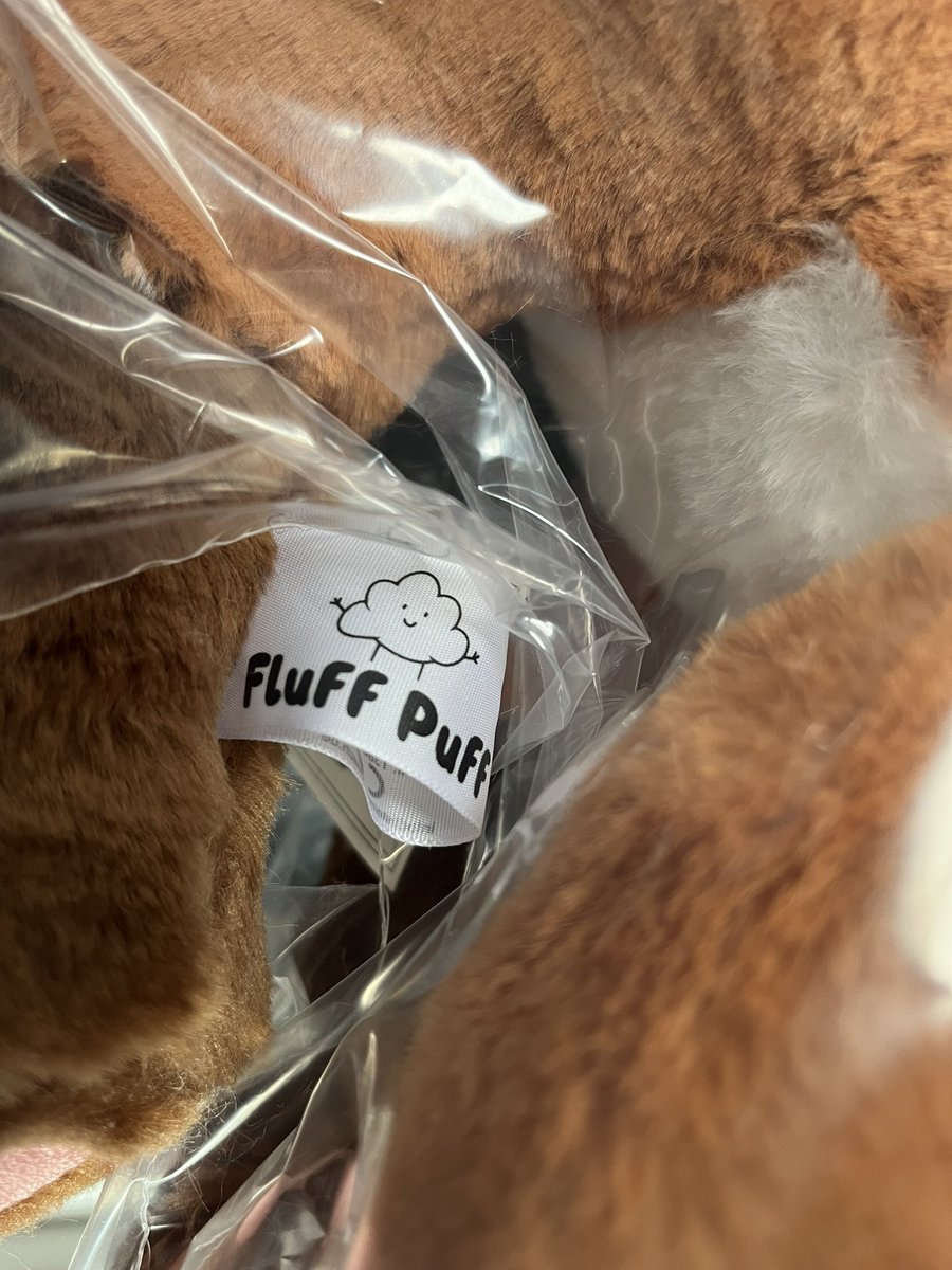 FluffPuff tweet media