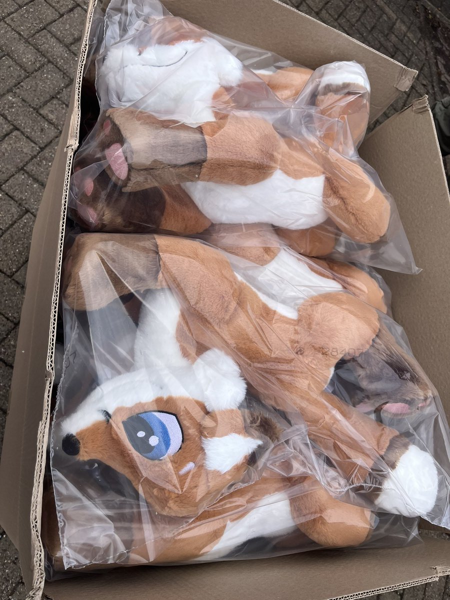 FluffPuff tweet media