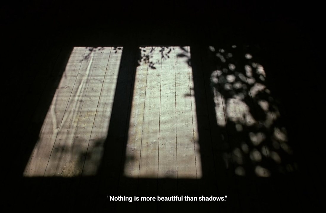 shadows in Sentimental Value dir. Jaochin Trier