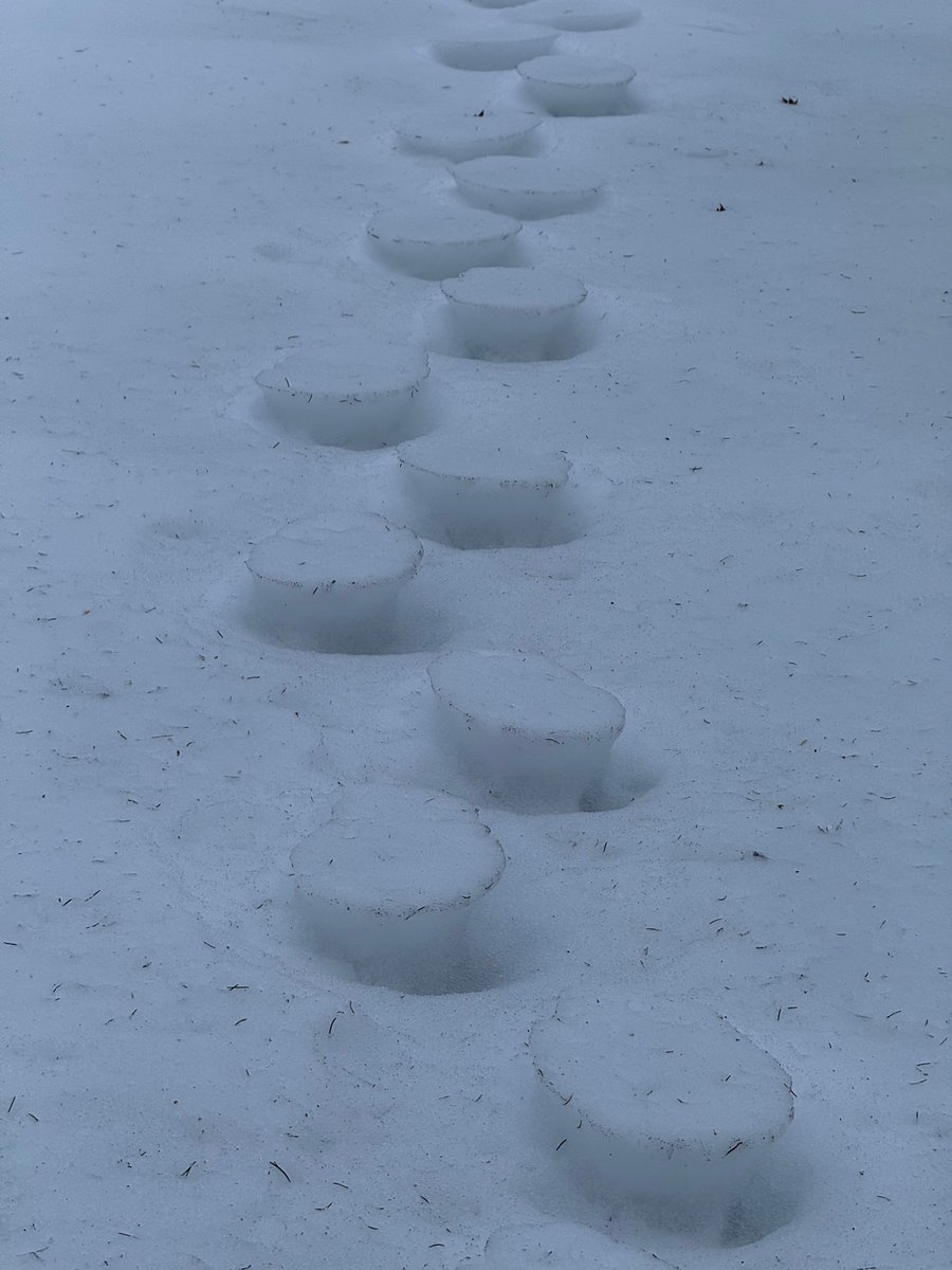 NWS Mount Holly tweet media