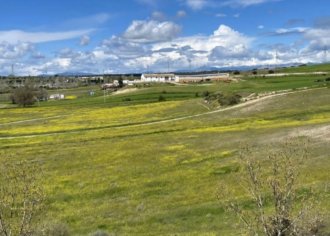 VOX Sanse 🇪🇸 tweet media