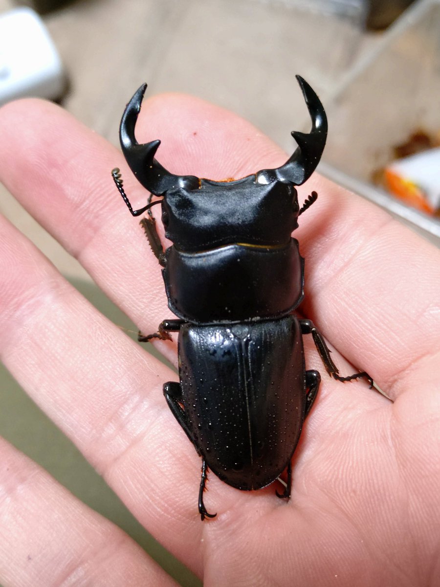 Masato (@Massa315) / Posts / X