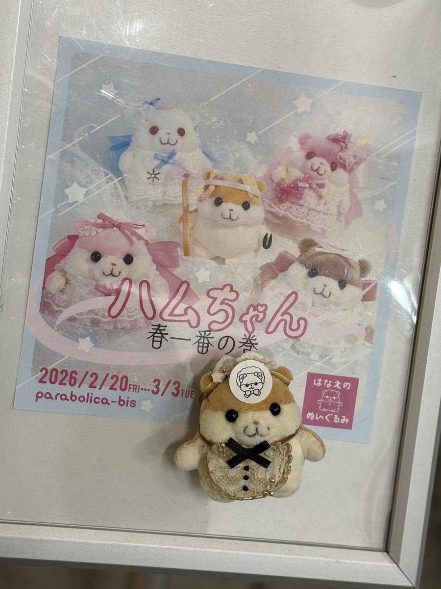 初日と2日目ははなえさんも在廊予定です♪みなさま様々な装いのハム