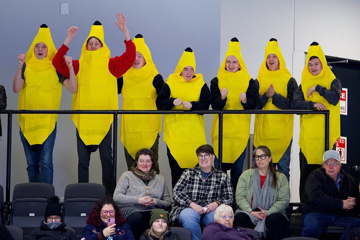 Nic Sulsky tweet media