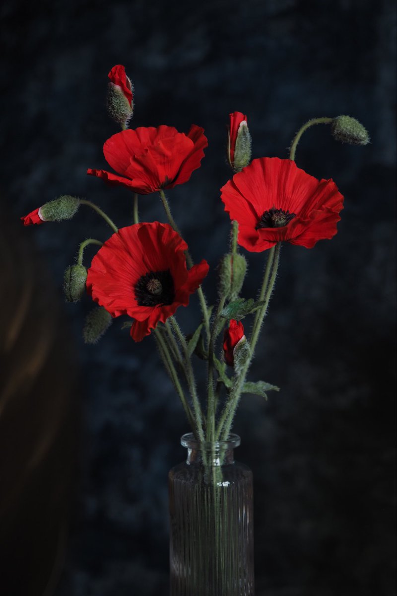 день, который зелёный tweet media