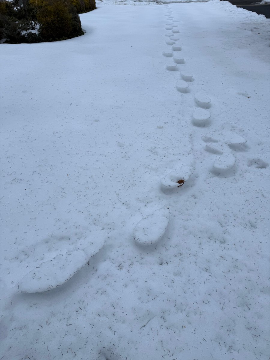 NWS Mount Holly tweet media