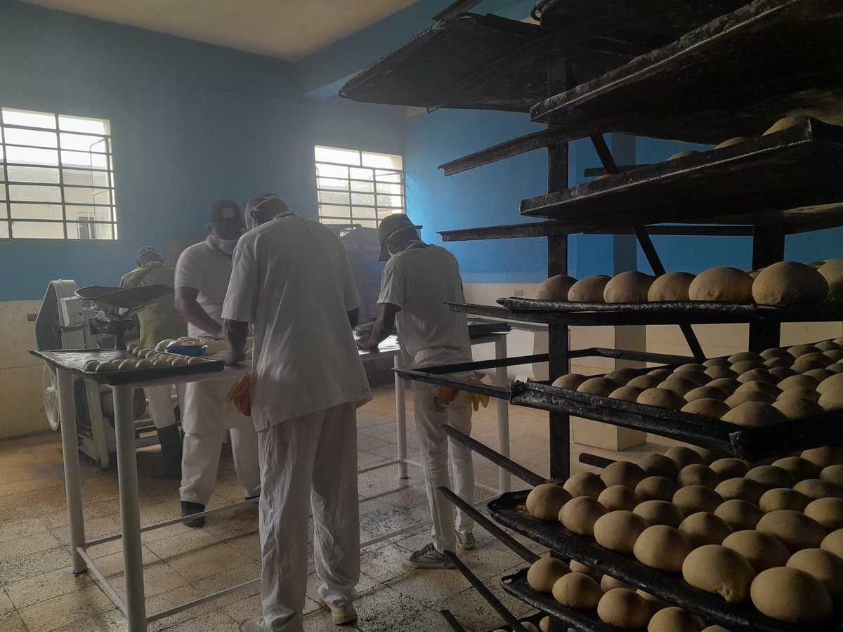 ⚡ En San Miguel del Padrón, a pesar de las limitaciones de combustible y electricidad, la producción del pan normado no se detiene. Insistimos en la necesidad de incrementar los encadenamientos productivos para generar más ingresos y mejorar el salario de nuestros trabajadores.