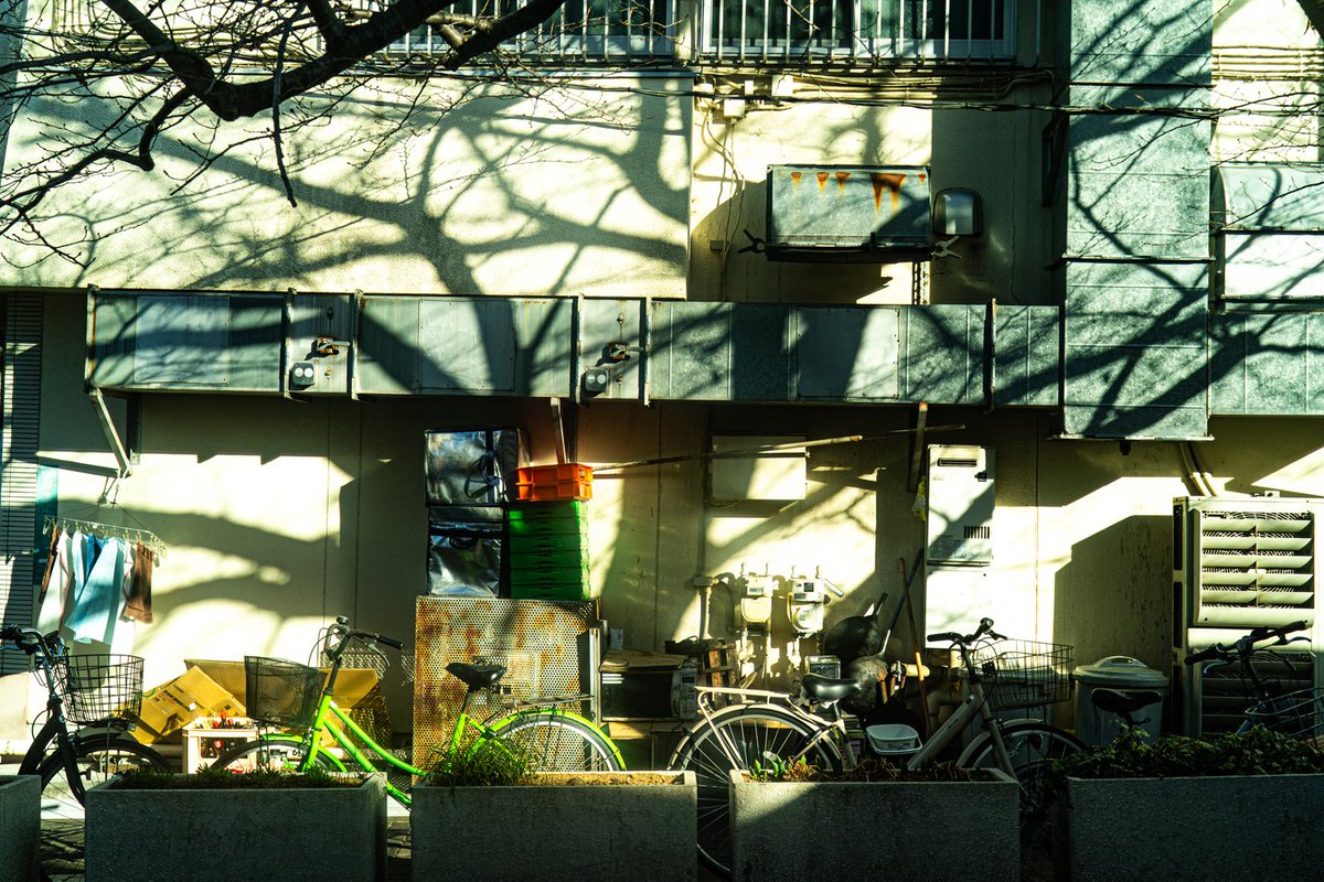 Kouji Tomihisa tweet media