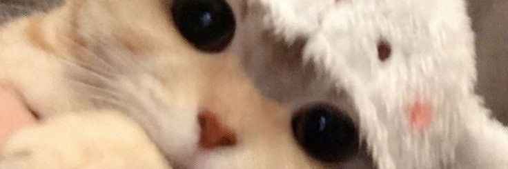 spawkcle's tweet image. test ht masuk? #zonauang