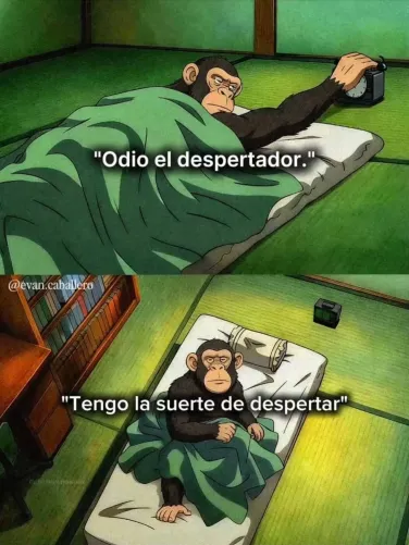 yosoyhonor's tweet photo. 5 imágenes que la gente débil no entenderá...

1. https://t.co/FCjSY8Yn8B