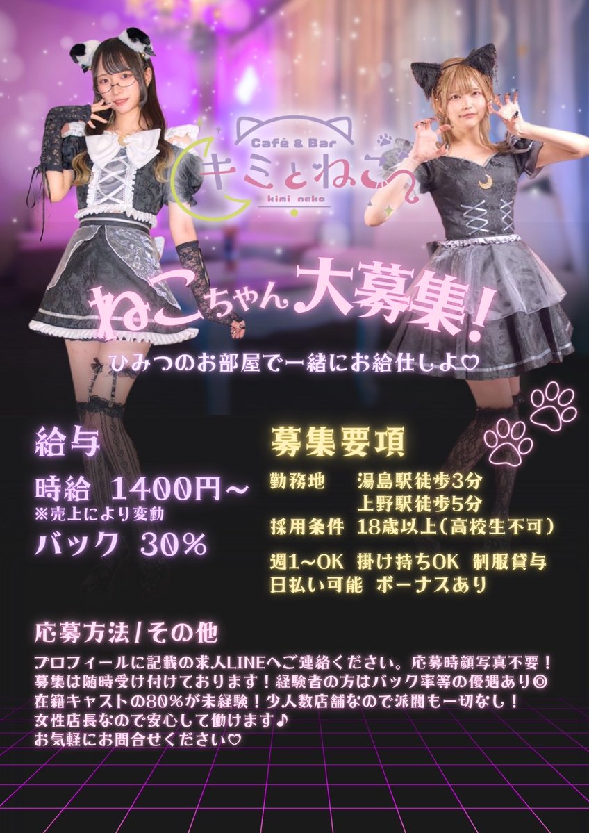 ┊ ┊ ┊ ┊ ┊ ┊ ┊ ୨୧ ┊ ┊ ♡ ┊ ୨୧ ♡ ねこちゃん大募集中𛰙