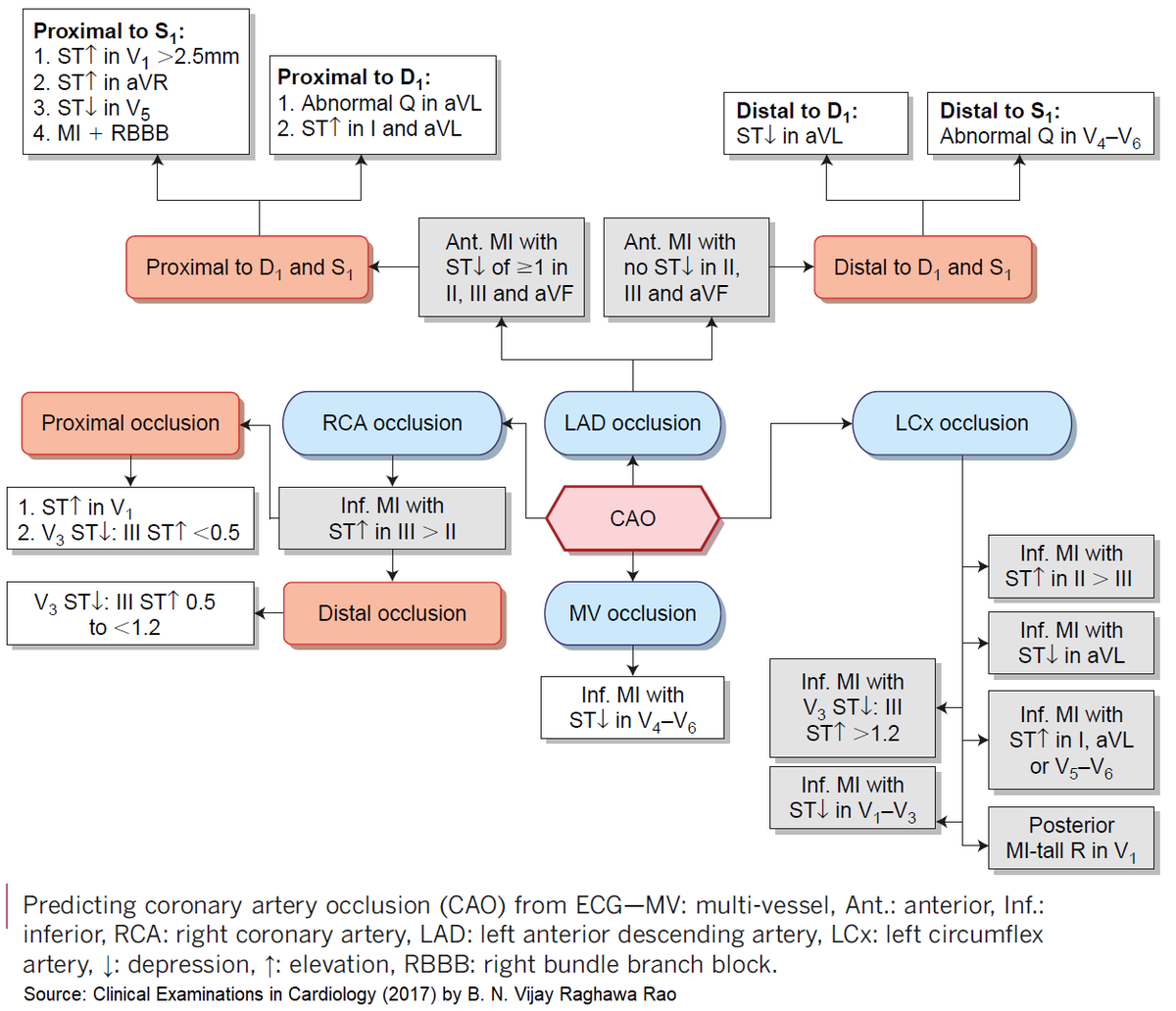 Predicting Coronary Artery Occlusion (CAO) from ECG #medtwitter