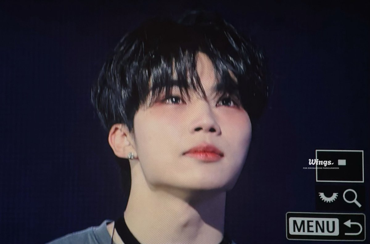 𝑾𝒊𝒏𝒈𝒔. tweet media