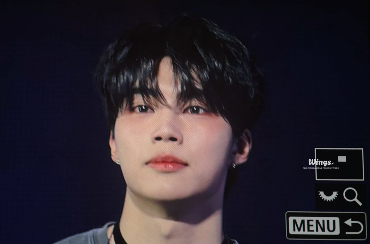 𝑾𝒊𝒏𝒈𝒔. tweet media