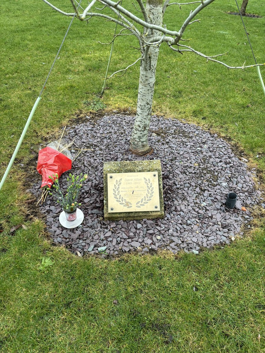 Robin Tremblin tweet media