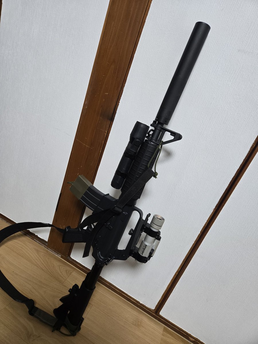 かっこよすぎるわしのライフル
しかし背景が昭和の家すぎるよ…