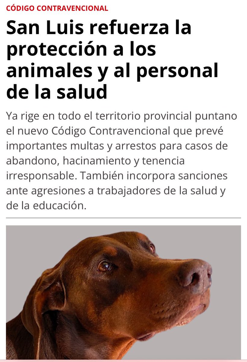 vetmarketportal.com.ar/nota/4899/san-…