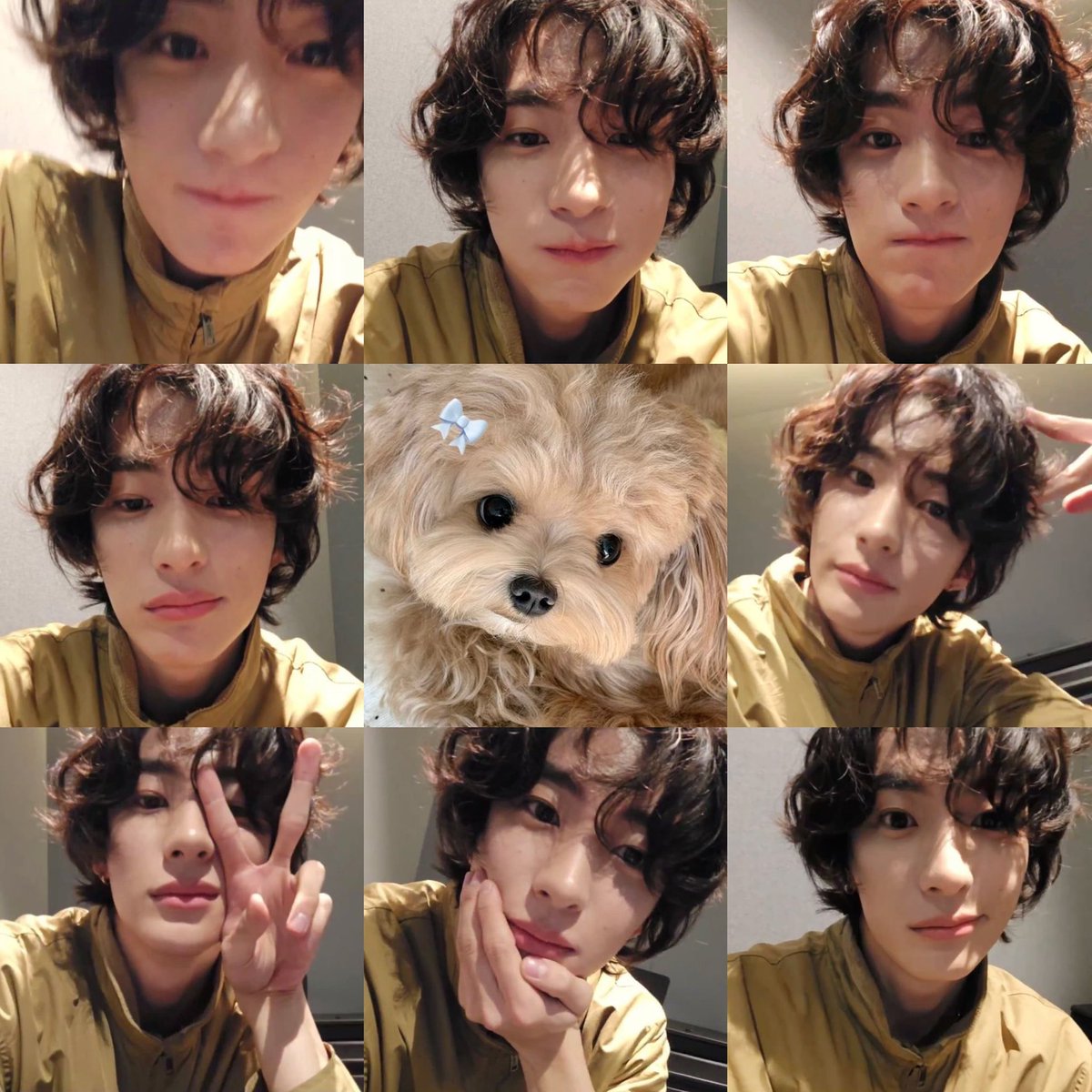 ︵ 
૮(`ᴥ ⁻ 𑁬
   |    ⸝ 〵
  じしˍ,  )୭