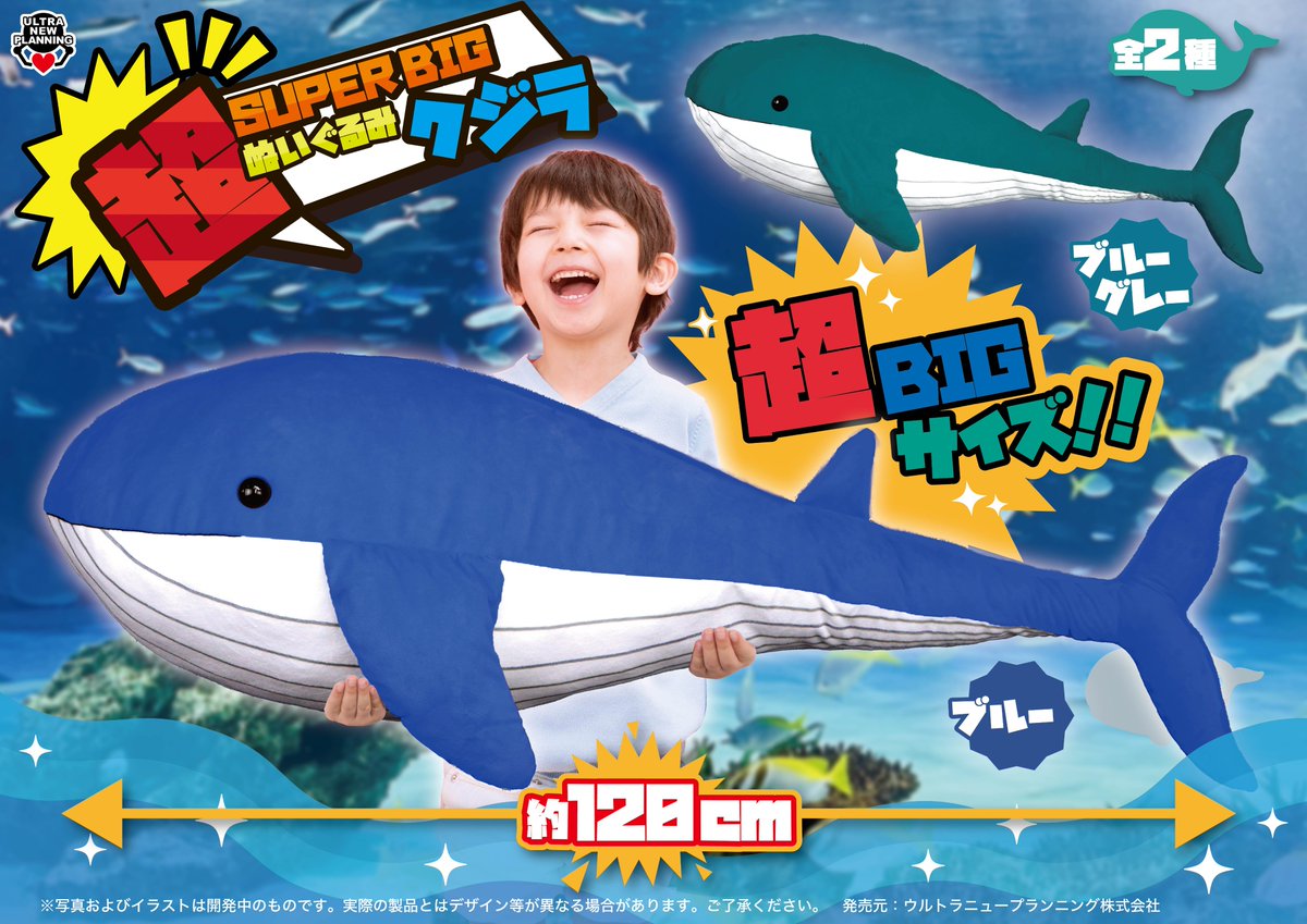 🌊新商品のお知らせ🌊 ＼超SUPERBIGぬいぐるみ クジラ／ なんと約120cm