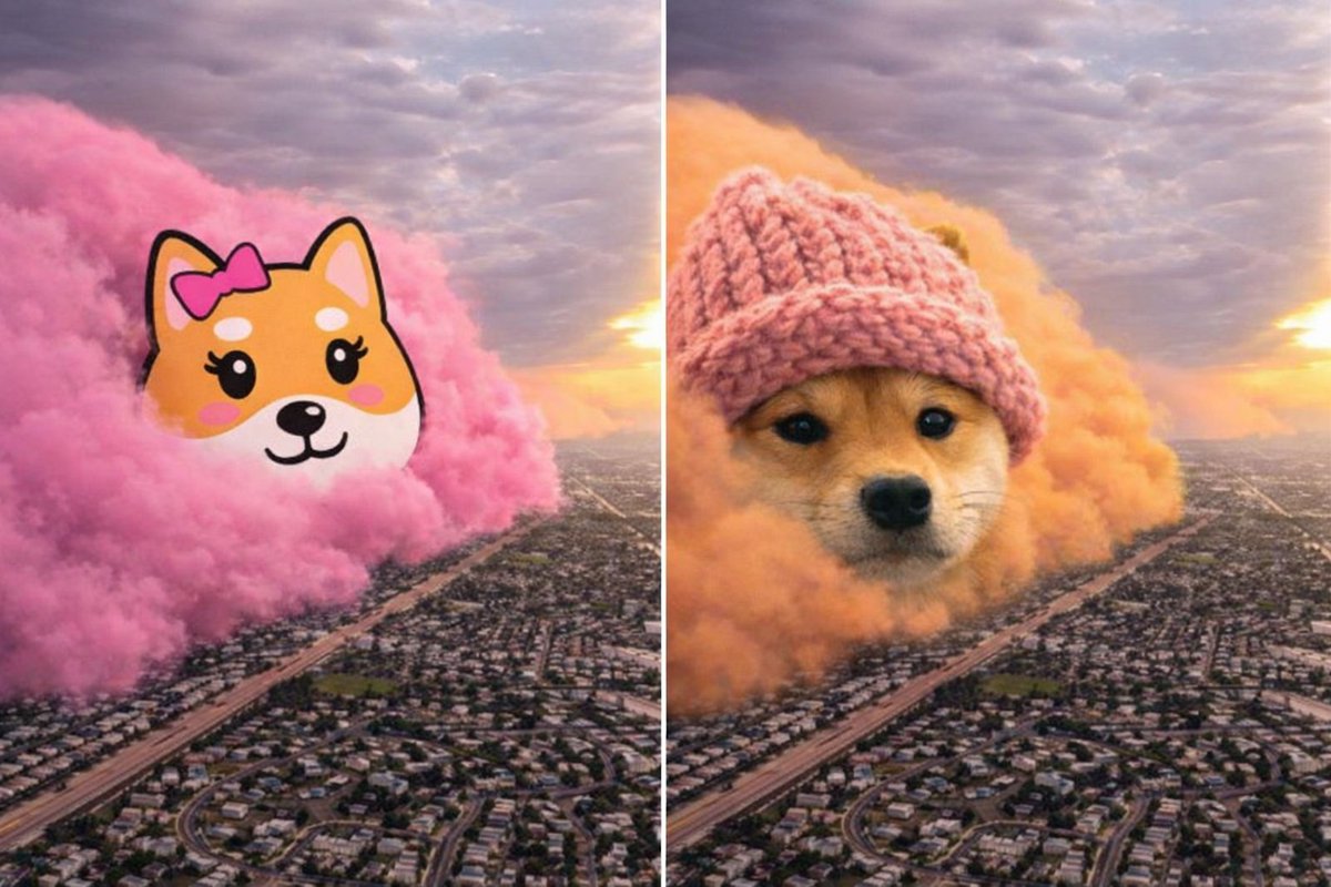 Guardarian tweet media