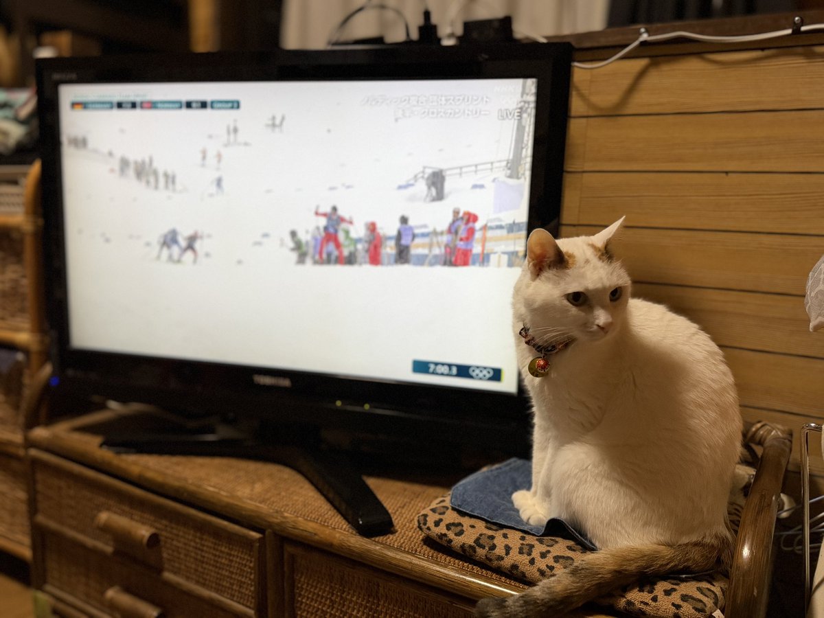 君主様がかぶりつきで観るからテレビつけてるけど、私は観てないから電源切りたい😓