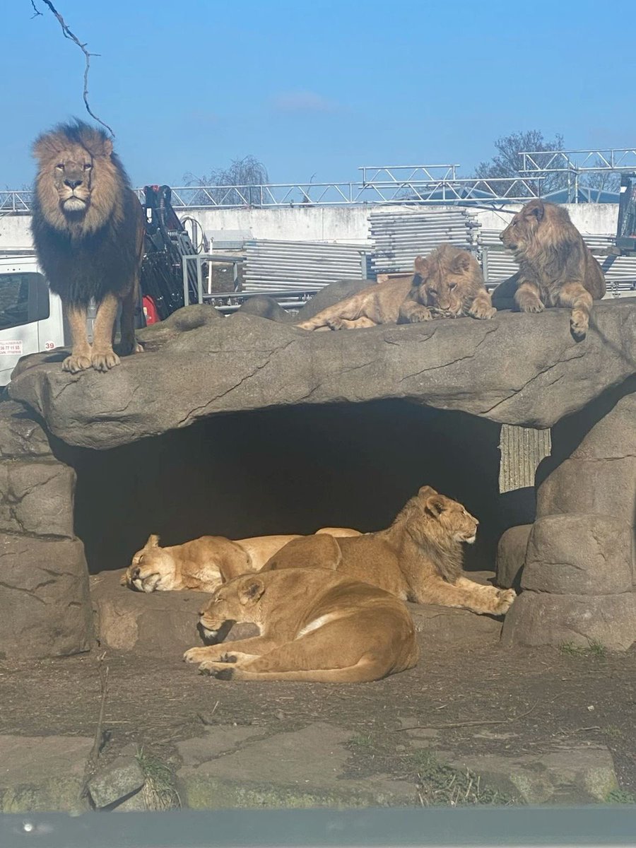 AYOMIPOSI 👑 tweet media