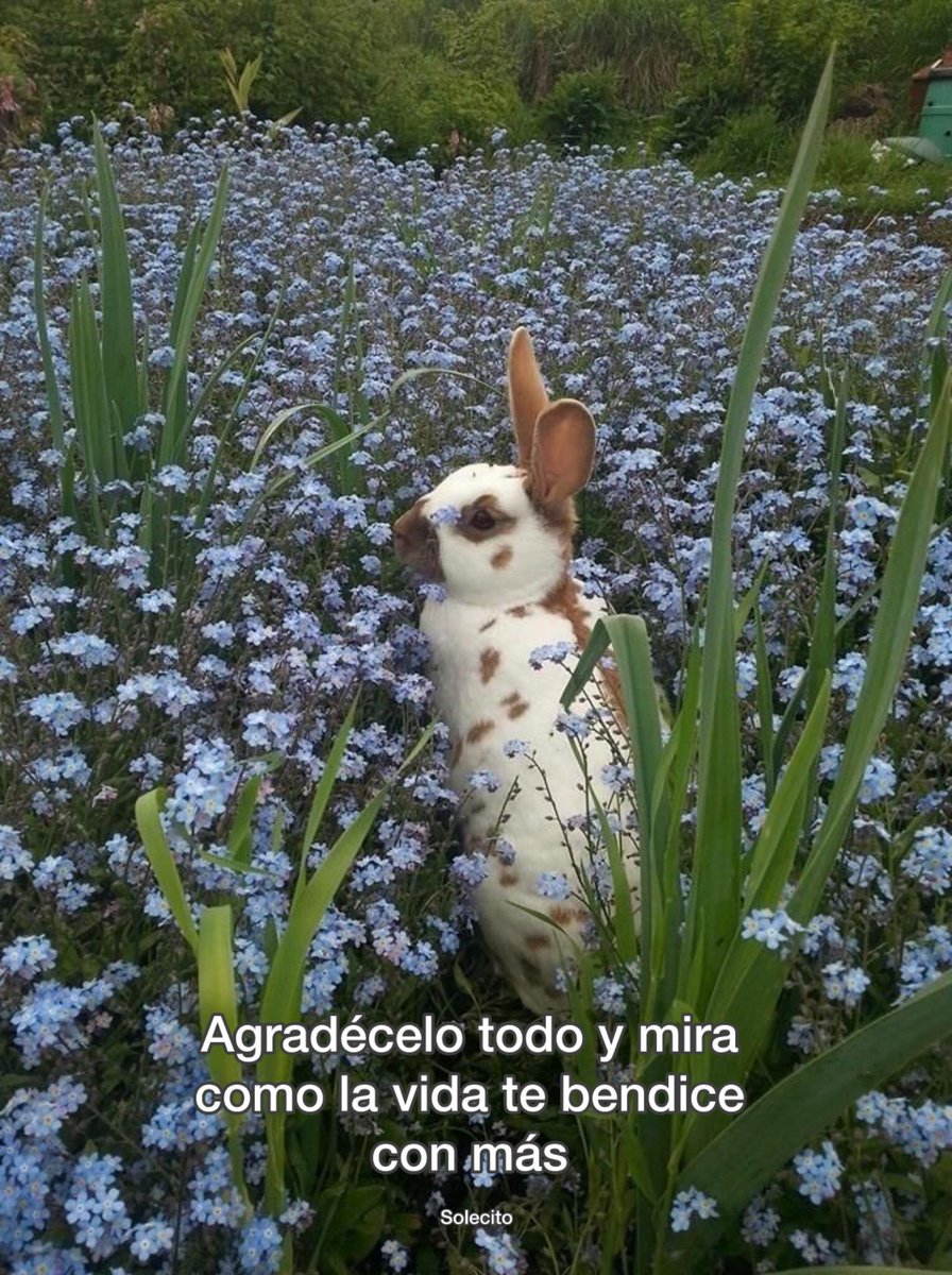 Bandidosfrasess's tweet photo. https://t.co/lu41mWh1vx