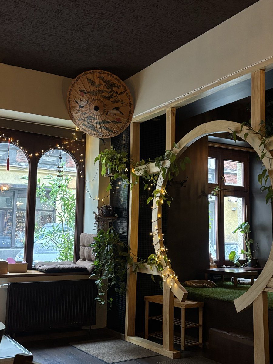 tu jest taki świetny klimat