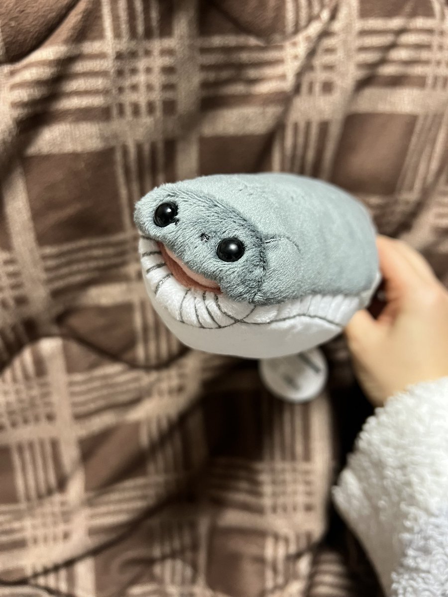 サカバンバスピスをネットミームではなくより現実にちかいぬいぐるみにするという決断をした大絶滅展に感謝