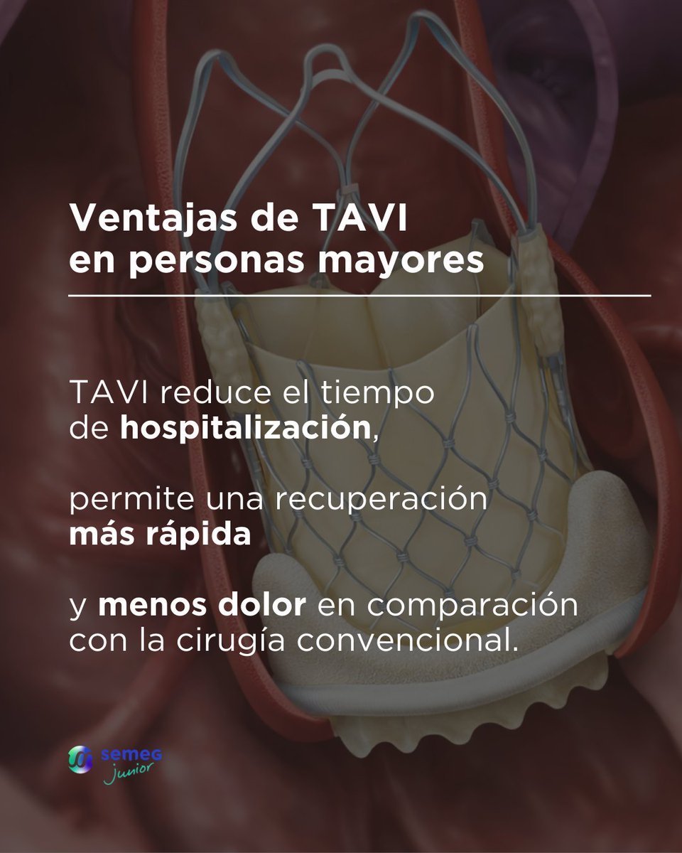 𝗦𝗘𝗠𝗘𝗚 tweet media