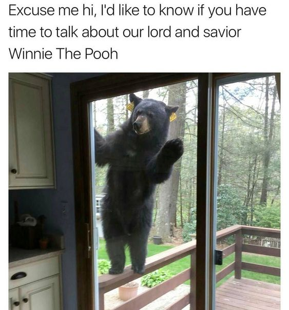 WholesomeMeme's tweet photo. https://t.co/tO3JPFaseh